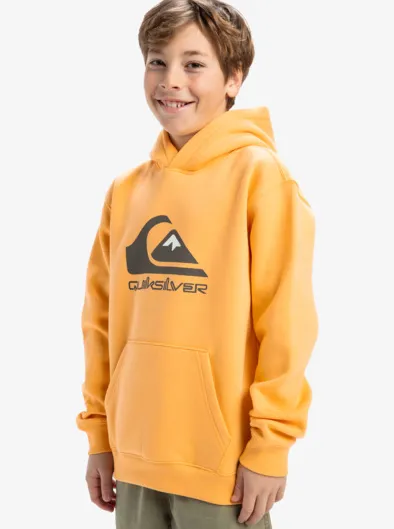 Big Logo - Sweat à capuche pour Garçon 8-16