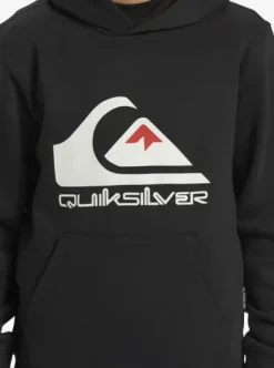 Big Logo - Sweat à capuche pour Garçon 8-16 ans