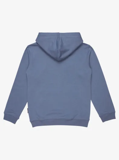 Big Logo - Sweat à capuche pour Garçon 8-16 ans