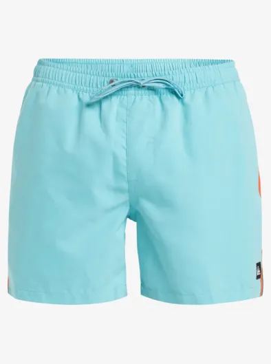 Everyday Beach 15" - Short de bain pour Homme