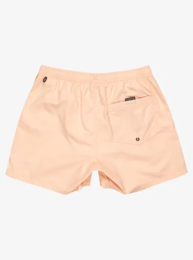 Everyday Beach 15" - Short de bain pour Homme