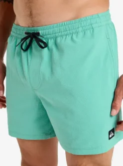 Everyday Flex Volley 15" - Short de bain pour Homme