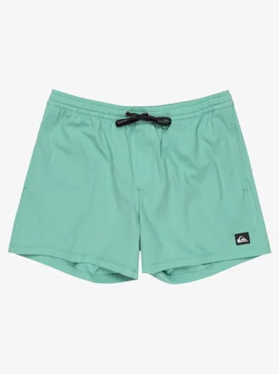 Everyday Flex Volley 15" - Short de bain pour Homme