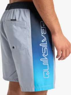 Everyday Holmes Volley 17" - Short de bain pour Homme
