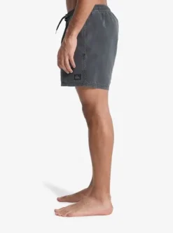 Everyday Surfwash Volley 15" - Short de bain pour Homme