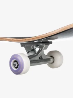 Flashback 8.25" - Skateboard complet pour Homme