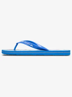 Molokai Art 25 - Tongs pour Homme