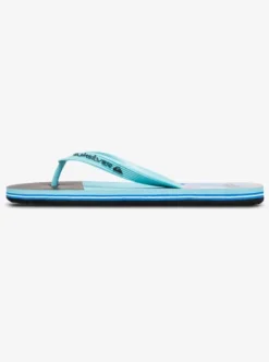 Molokai Stripe 25 - Tongs pour Homme