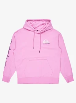 Omni Logo - Sweat à capuche pour Homme
