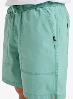 Taxer Fatigue - Short de marche pour homme