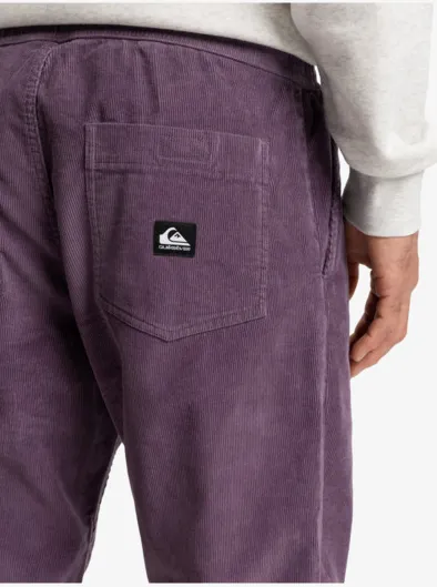 Taxer Regular Cord - Pantalon velours côtelé pour Homme