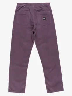Taxer Regular Cord - Pantalon velours côtelé pour Homme