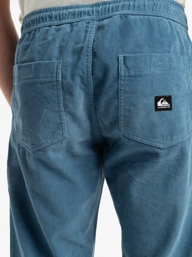 Taxer Regular Cord - Pantalon velours côtelé pour Homme
