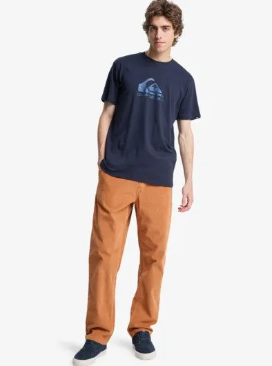 Taxer Regular Cord - Pantalon velours côtelé pour Homme