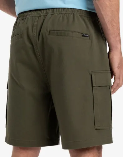 Taxer 19" - Short de marche cargo pour Homme