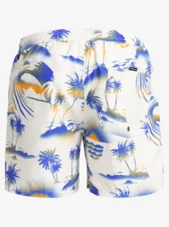 The Airbrush - Short de bain taille élastique 15'' pour Homme