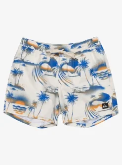 The Airbrush - Short de bain taille élastique 15'' pour Homme